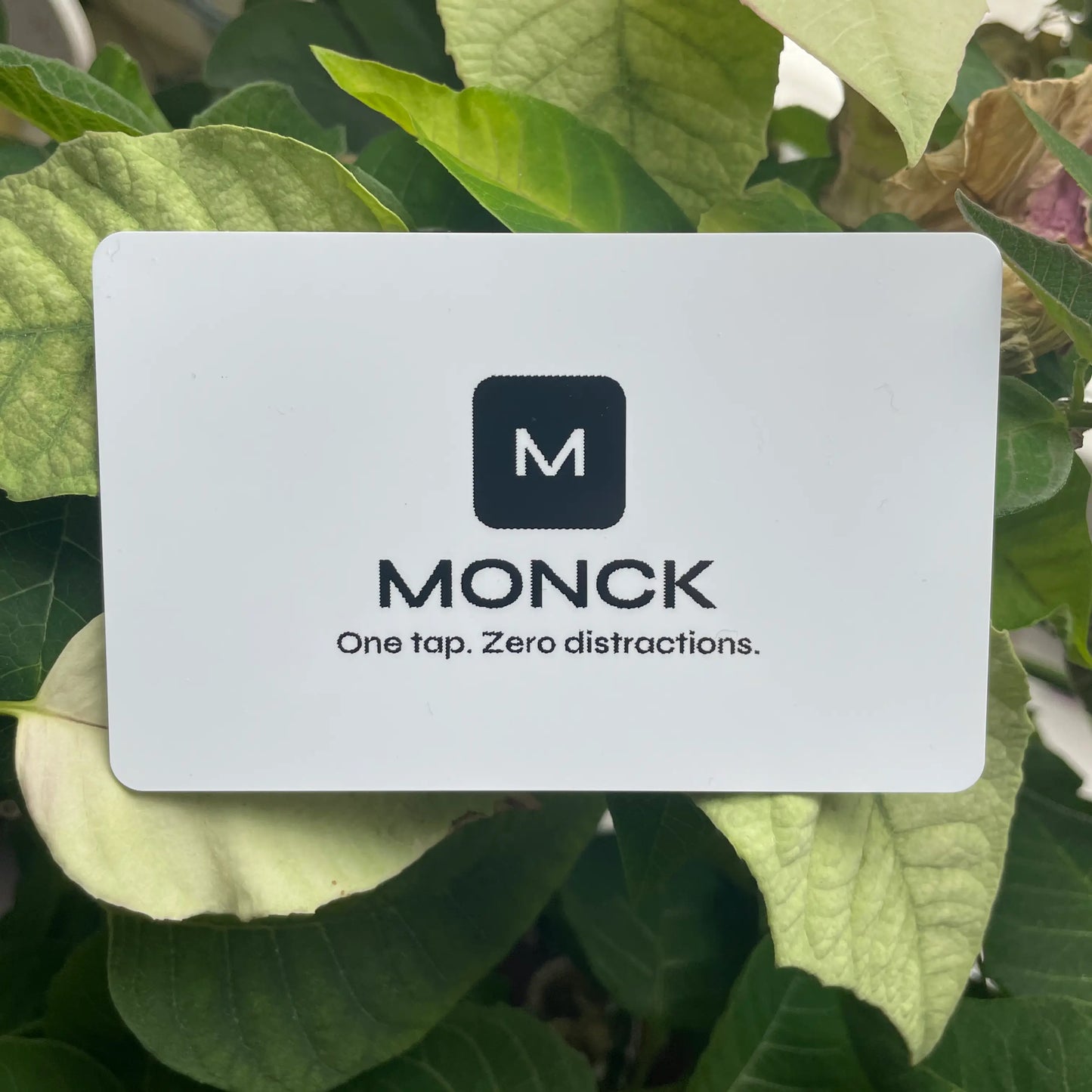 THE MONCK CARD