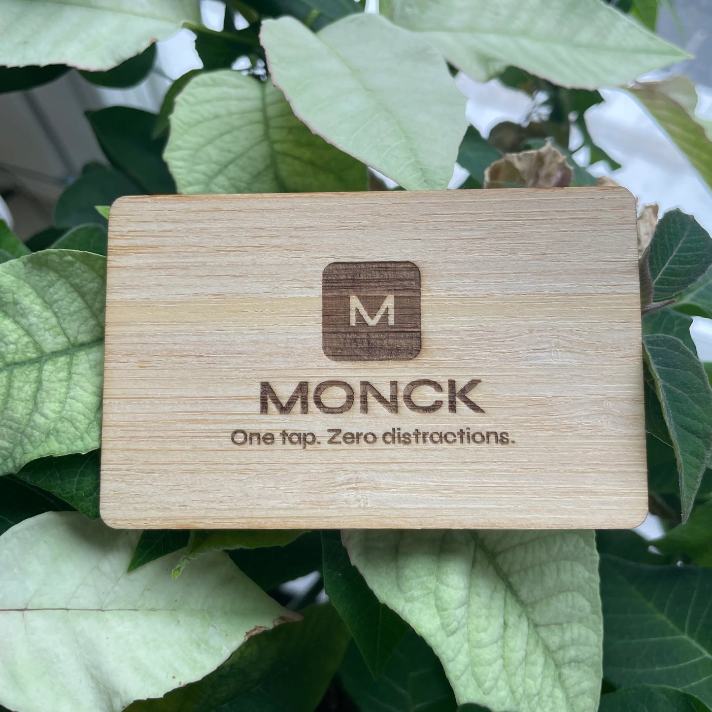 monck-eco card
